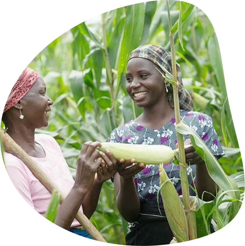 Sustainable Farming